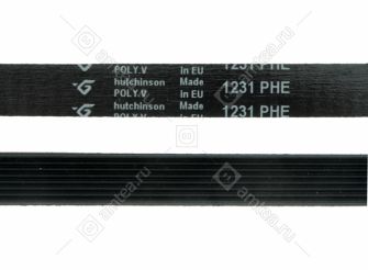 Ремень 1231 H8 стиральной машины